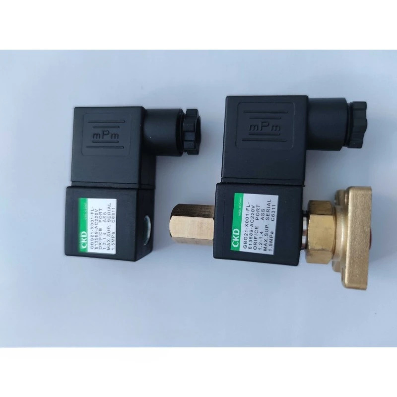 CKD 솔레노이드 밸브 GBG21-X001-FL-613589-AC220V 흡기 밸브부품