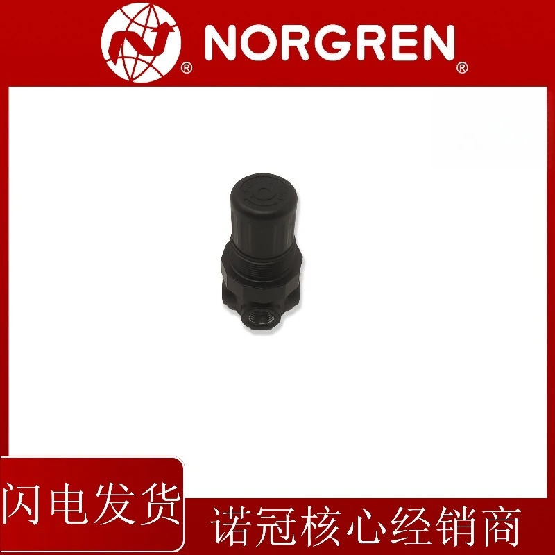 R07-200-RNKG 노그렌 압력 조절 밸브RNKA RNEG RNAG RNKB RNEA