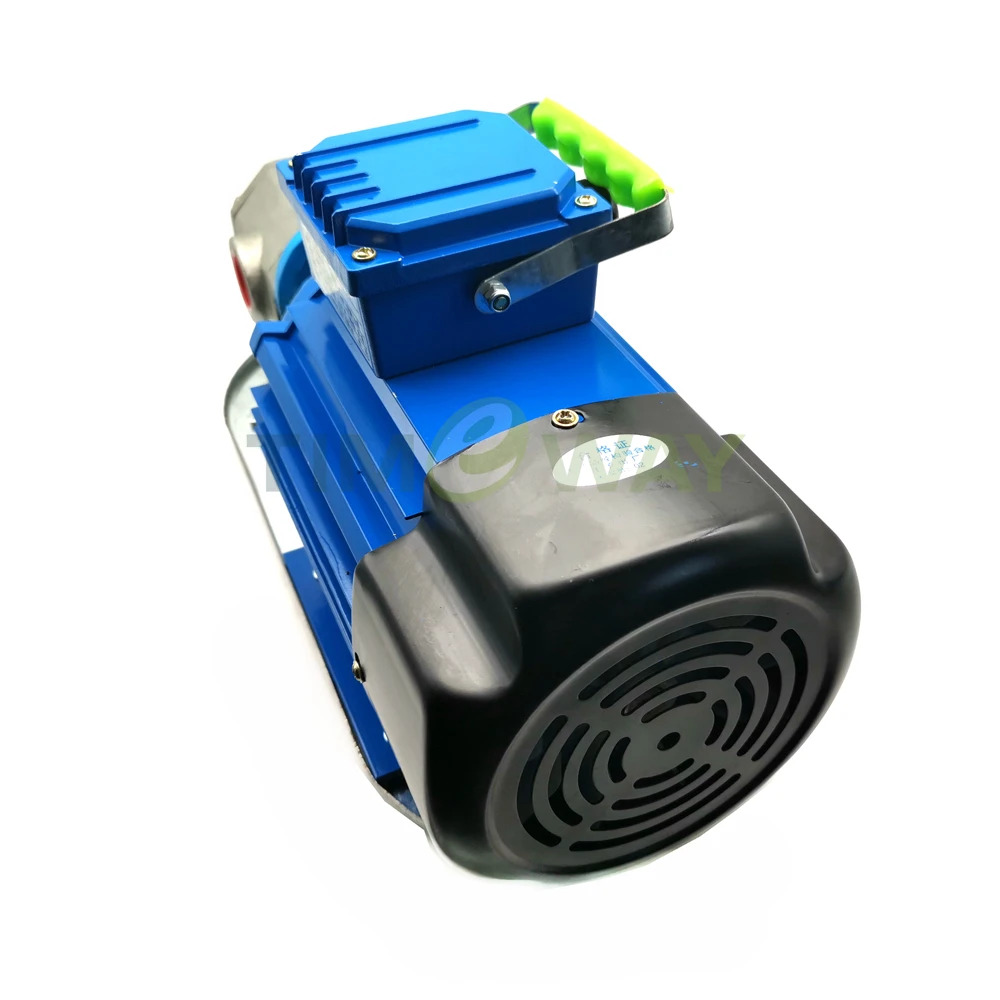 전원 220V/380V WCB Protable 기어 오일 펌프모터 WCB-75P WCB-100P WVO WMO304 스테인레스 스틸 이송 펌프