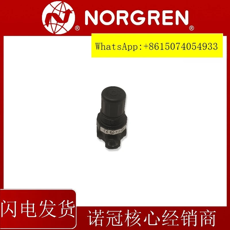 R07-200-RNKG 노그렌 압력 조절 밸브RNKA RNEG RNAG RNKB RNEA