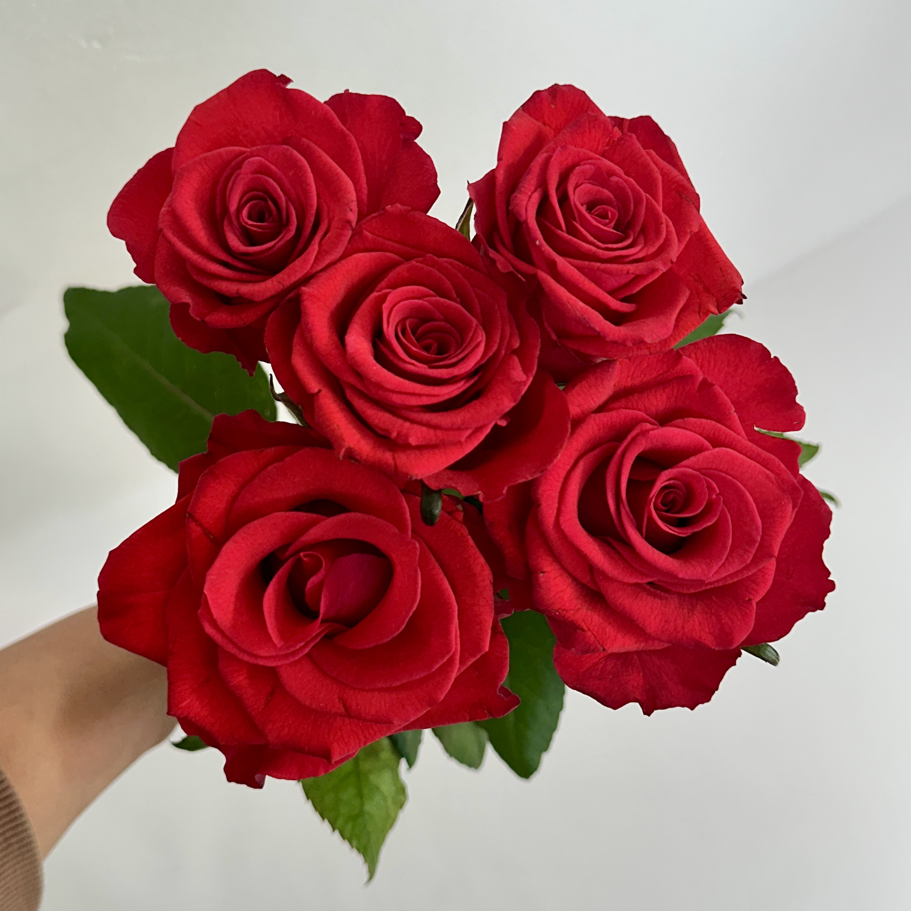 희록플라워 랜덤 장미 생화 5송이 꽃 꽃다발 배달 생화택배 양재꽃시장 꽃정기구독 - 상세 이미지 4