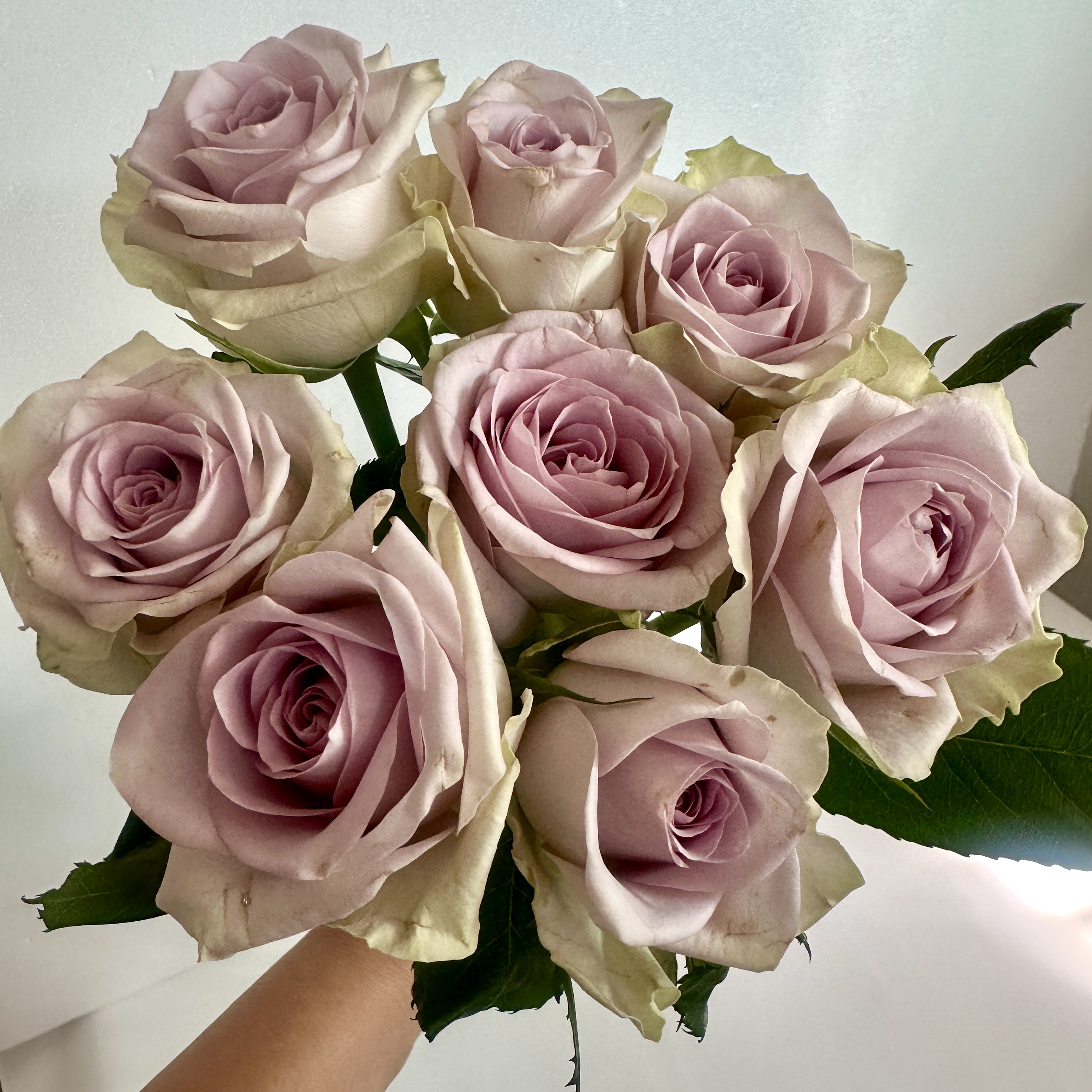 희록플라워 랜덤 장미 생화 5송이 꽃 꽃다발 배달 생화택배 양재꽃시장 꽃정기구독 이미지 7