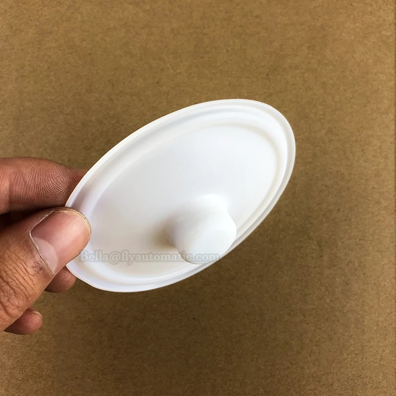 00-1030-55 WILDEN PTFE 다이어프램 펌프 P.025