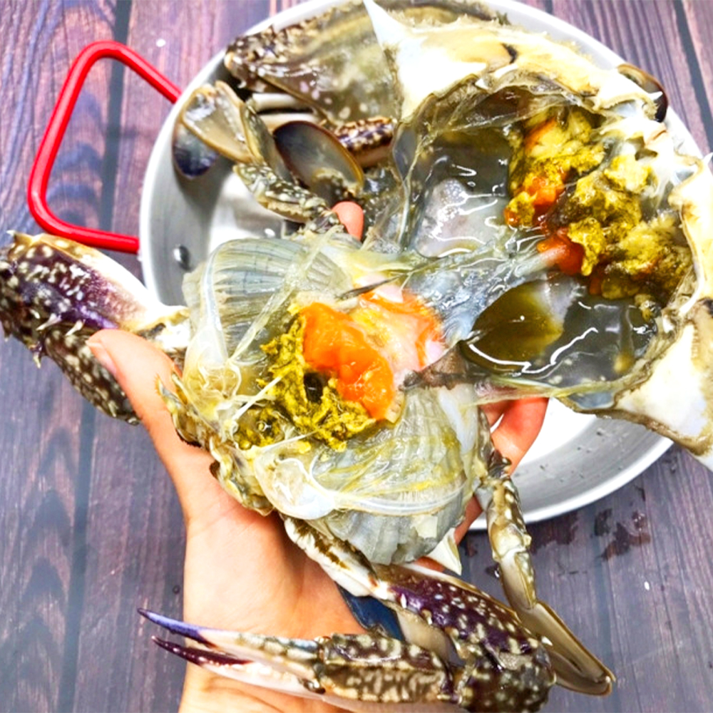서해안 활꽃게 연평도 꽃게 구매 활꽃게 추천 꽃게 구매 꿀팁 서해안 꽃게 후기