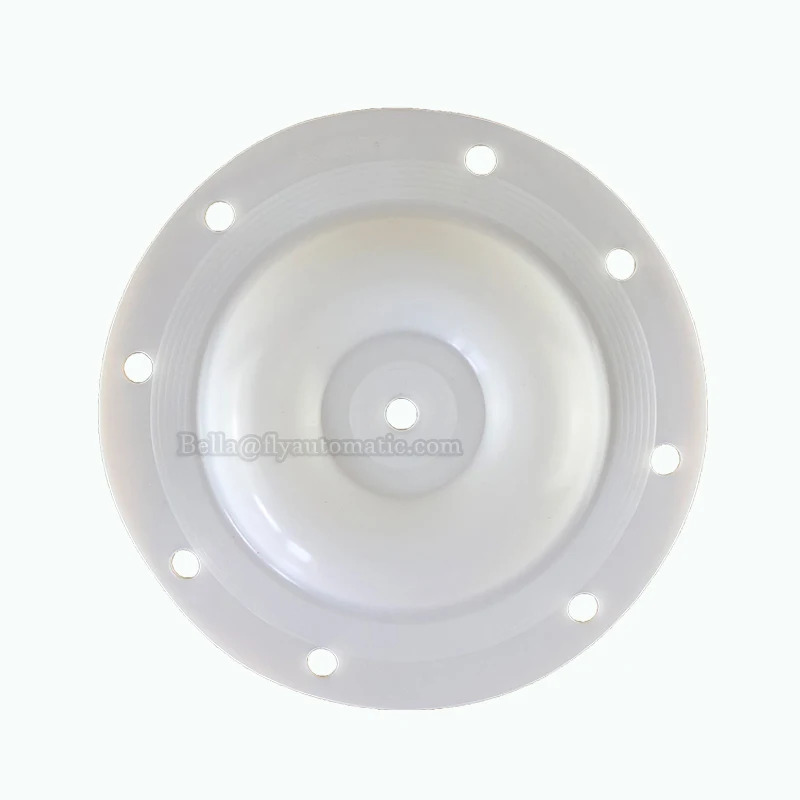 VERSA-MATIC E505TF 하프 인치 다이어프램 펌프 액세서리