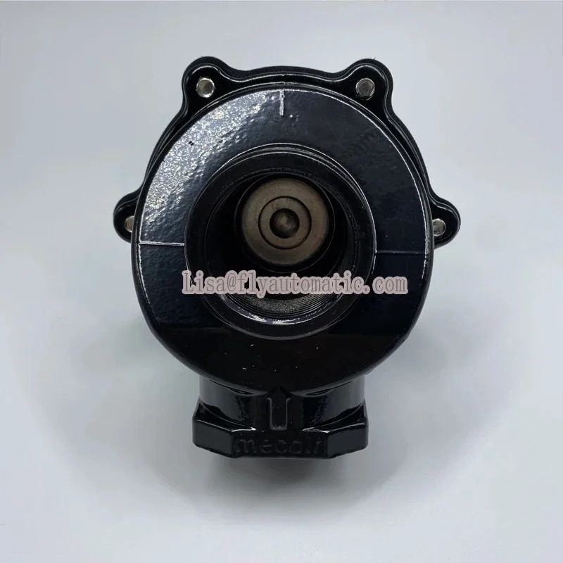 VNP208 VEM208 SB3 RCA3PV DB18 Mecair 1인치 펄스 제트 밸브 다이어프램 방부제 부식 방지