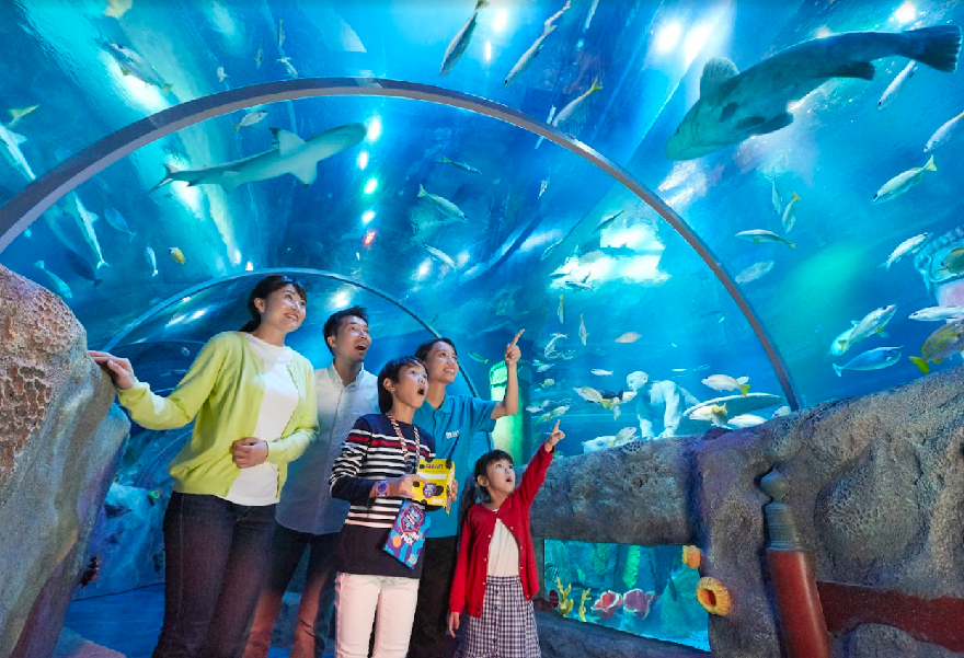 [즉시확정] 나고야 레고랜드+SEA LIFE 아쿠아리움 1일권 - 상품 이미지