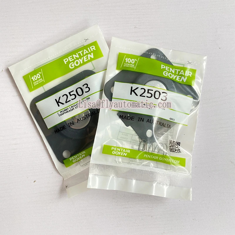 고옌 K2503 M1887 키트 1인치 R/CA25T CA25DD CA25FS/MM비톤 밸브 막 고온막