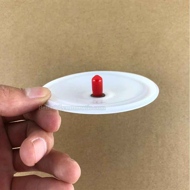 00-1030-55 WILDEN PTFE 다이어프램 펌프 P.025