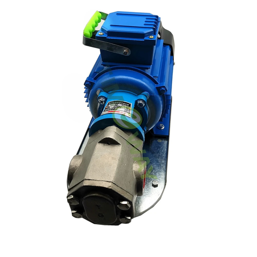 전원 220V/380V WCB Protable 기어 오일 펌프모터 WCB-75P WCB-100P WVO WMO304 스테인레스 스틸 이송 펌프