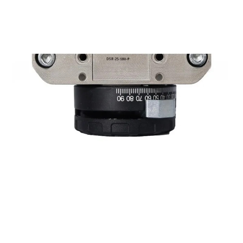 FESTO 앵귤러 스트로크 DSR-25-180-P 11911 부품