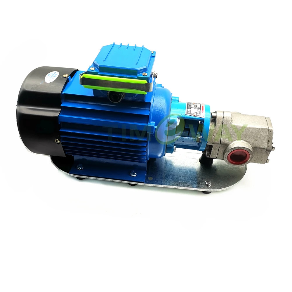 전원 220V/380V WCB Protable 기어 오일 펌프모터 WCB-75P WCB-100P WVO WMO304 스테인레스 스틸 이송 펌프