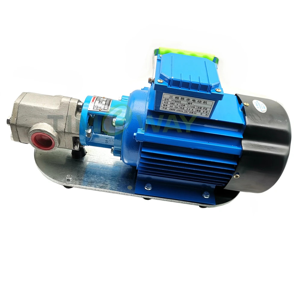 전원 220V/380V WCB Protable 기어 오일 펌프모터 WCB-75P WCB-100P WVO WMO304 스테인레스 스틸 이송 펌프