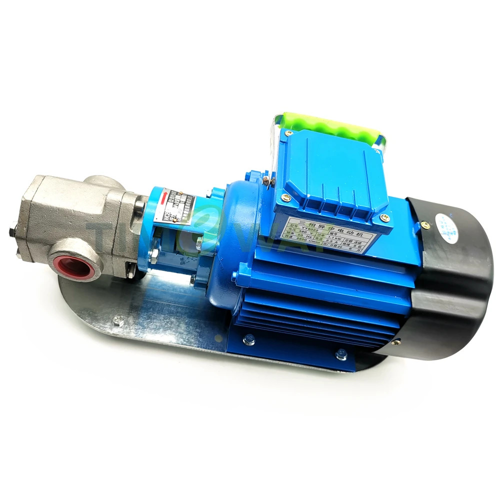 전원 220V/380V WCB Protable 기어 오일 펌프모터 WCB-75P WCB-100P WVO WMO304 스테인레스 스틸 이송 펌프