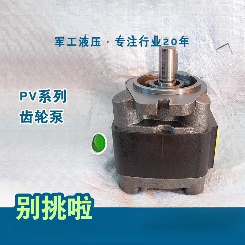 Panker 기어 pu-mp PV4-40-01A01FR 유압 내부 메쉬링 저소음