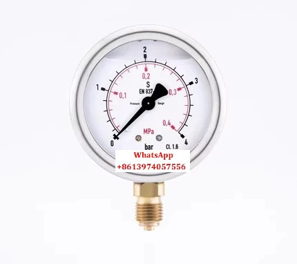 213.53.063 압력계 EN837-1 부르돈관 충격 방지