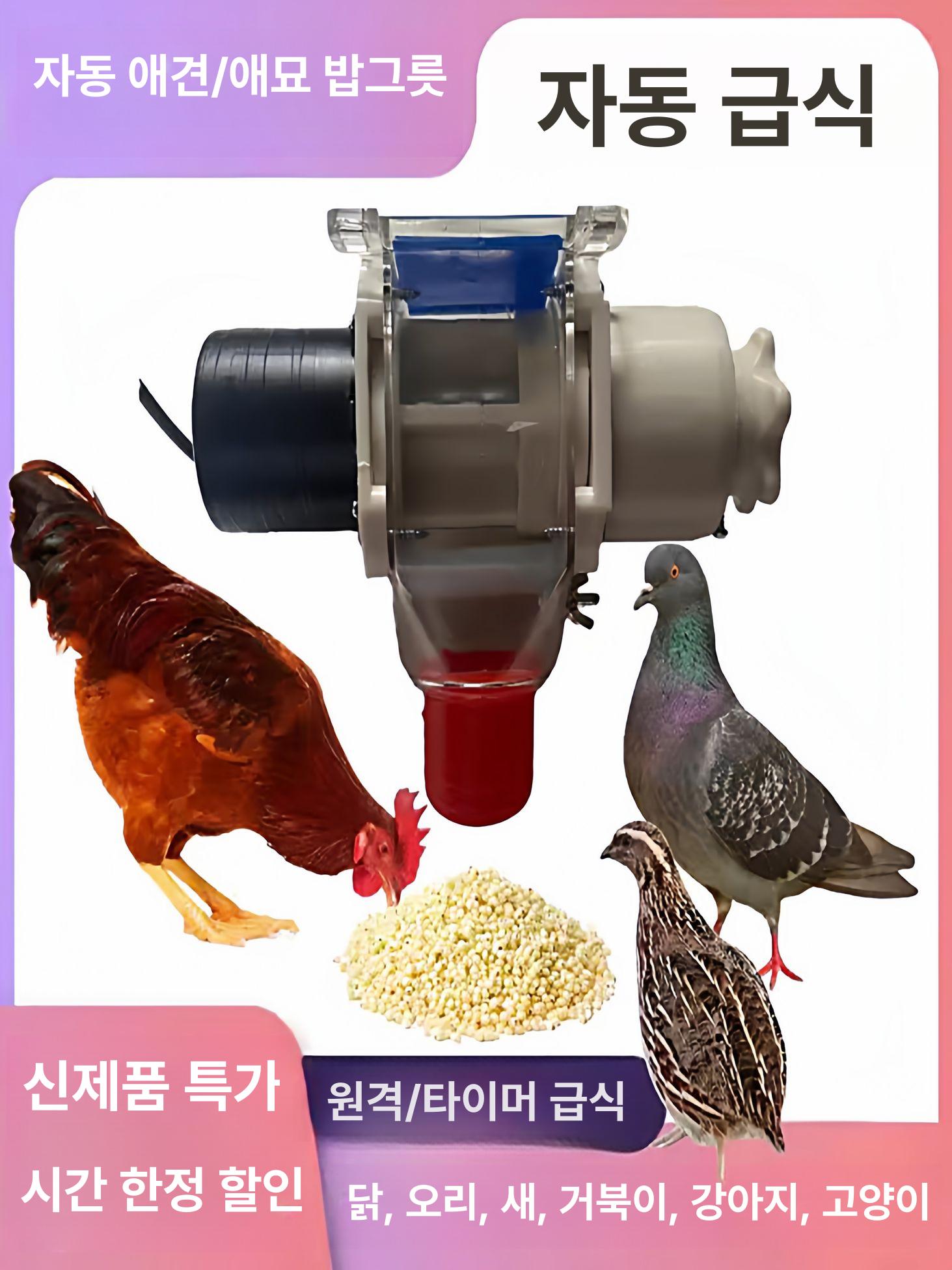 자동 사료통 닭모이 공급기 피더기 단일 호스트 일반형 급식기 - 상세 이미지 2