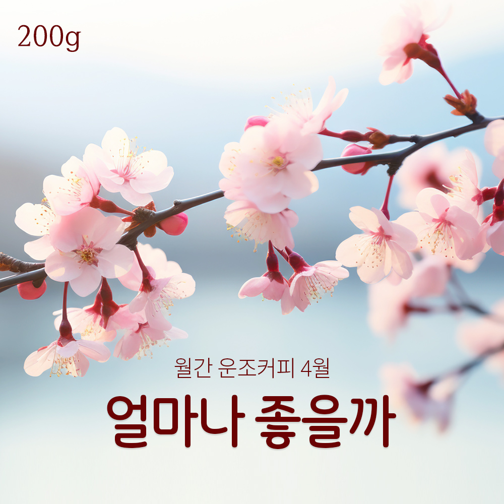 운조커피 월간커피 4월 얼마나 좋을까 200g 원두커피 - 상품 이미지