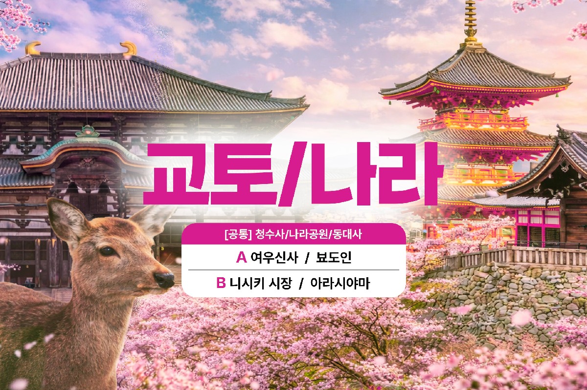 [오사카출발/1명도출발] 교토 & 나라 하이라이트 일일버스투어 A/B코스 - 상품 이미지