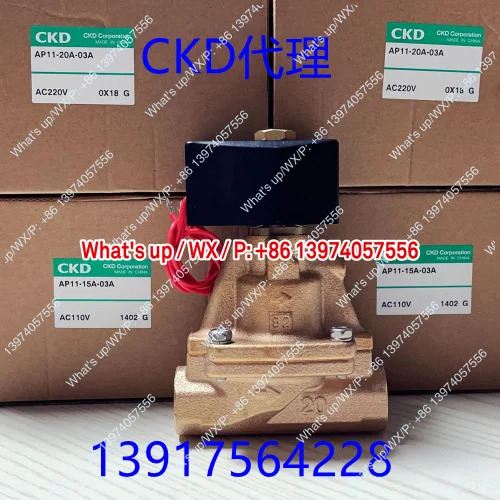 솔레노이드 밸브 AP11/AP12-8A/10/15A/20A-25A-03A-B2C/C2C-AC110V-AC220V