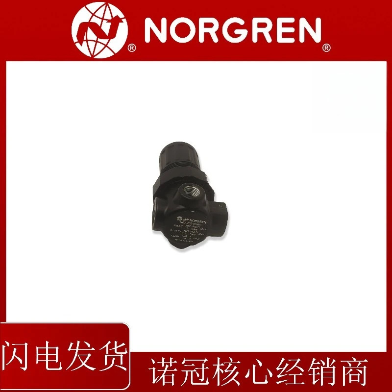R07-200-RNKG 노그렌 압력 조절 밸브RNKA RNEG RNAG RNKB RNEA