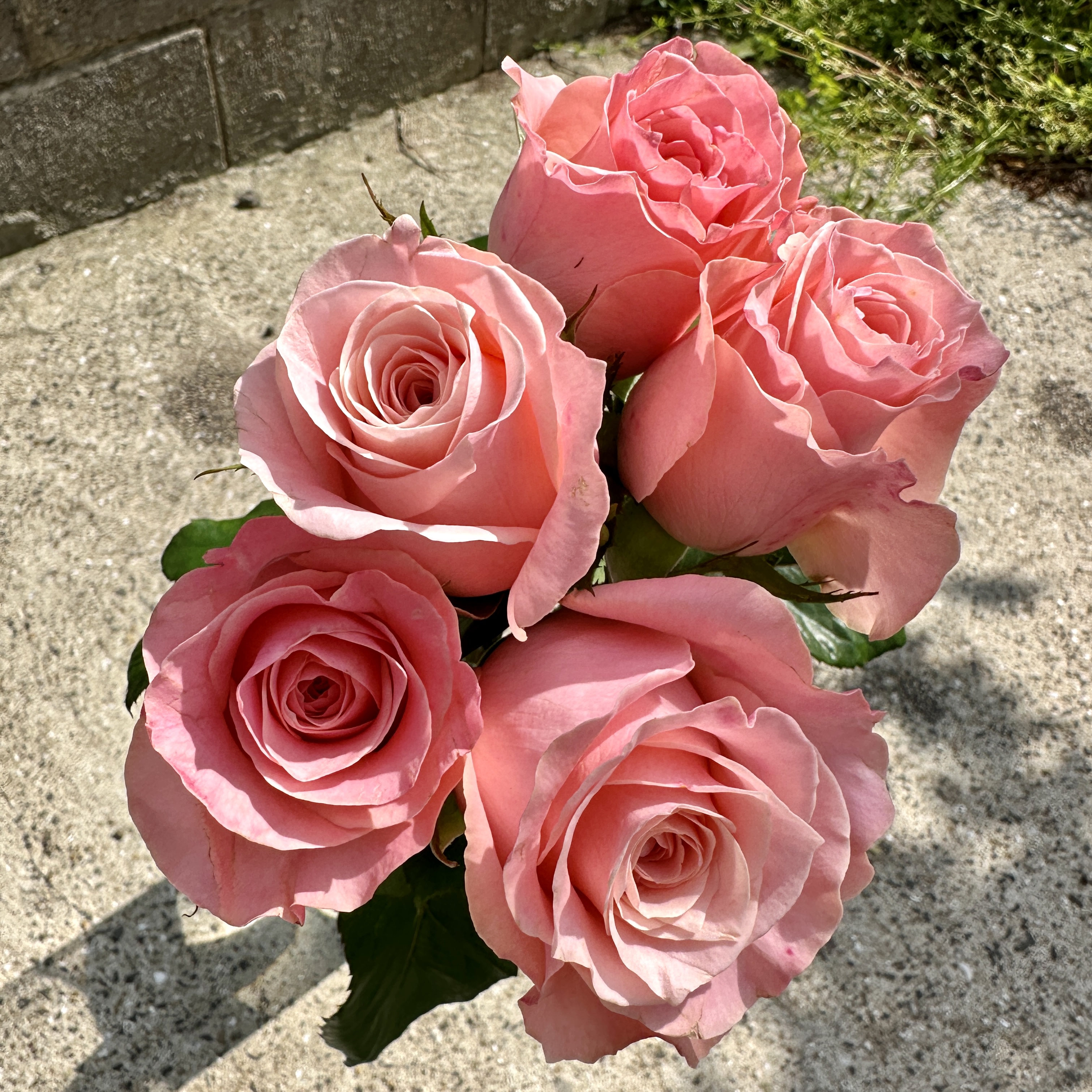 희록플라워 랜덤 장미 생화 5송이 꽃 꽃다발 배달 생화택배 양재꽃시장 꽃정기구독 - 상세 이미지 3