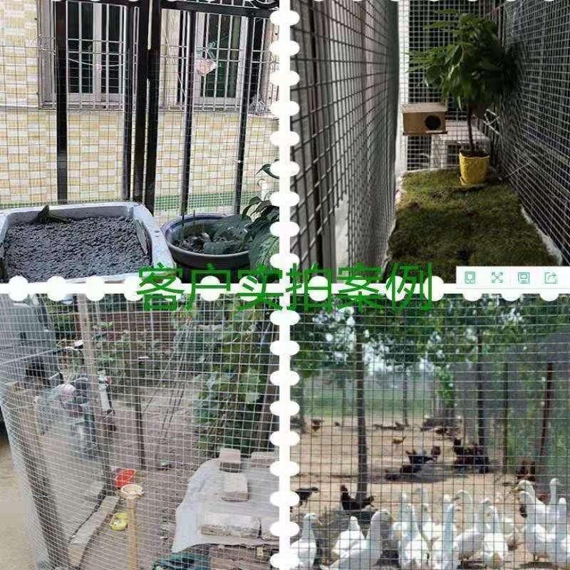 철망 펜스 울타리 아연도금 강철 용접망 1m 높이 15cm 사각 구멍 50m 길이 사육장 1m 6cm 1.3mm 50m - 상세 이미지 4