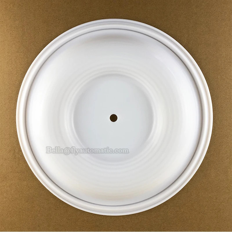 08-1010-51 08-1010-55 08-1010-52 PTFE/부나 다이어프램 와일든 2인치 P8 PS8 PX8 T8 공압 펌프용