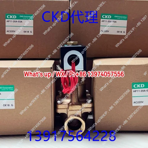솔레노이드 밸브 AP11/AP12-8A/10/15A/20A-25A-03A-B2C/C2C-AC110V-AC220V