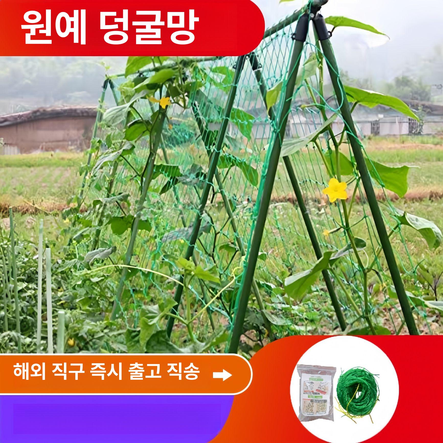 텃밭용 고추망 절화망 조이가든 원예용 농사용 튼튼한 PP재질 작물 지지 덩굴식물 유인 그린 30줄 1.8x3.6m 보강 - 상품 이미지