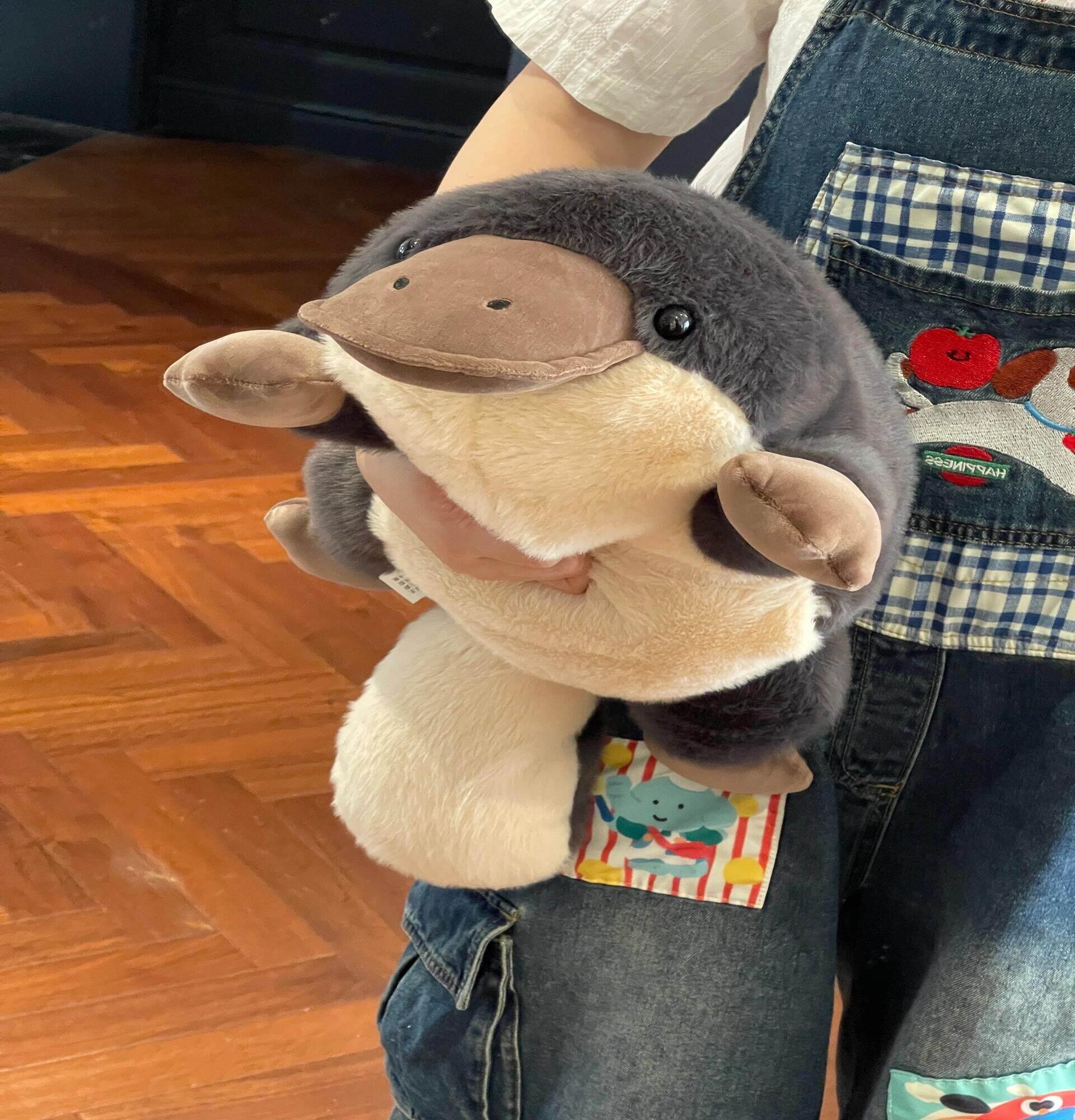 오리너구리 인형 쿠션 누운 오리주둥이 베개 60cm 누운 오리주둥이 [부드러운 탄력] 60cm - 상세 이미지 3