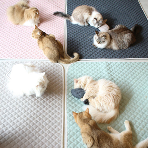 고양이 스크래쳐 초코펫 매트 고양이 놀이방 고양이 용품 추천 반려동물 놀이방