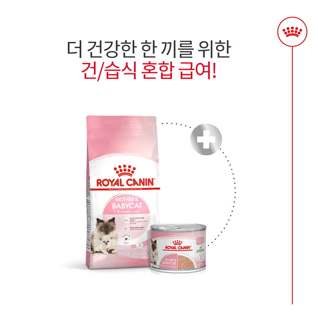 로얄캐닌 마더 앤 베이비 캣 울트라 소프트 무스 트레이 1박스(100G X 24개입) 이미지 6