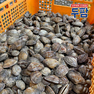 고흥 자연산 활 왕바지락 1kg 해감 바지락 맛있게 먹은 솔직 후기 - 상품 이미지 4