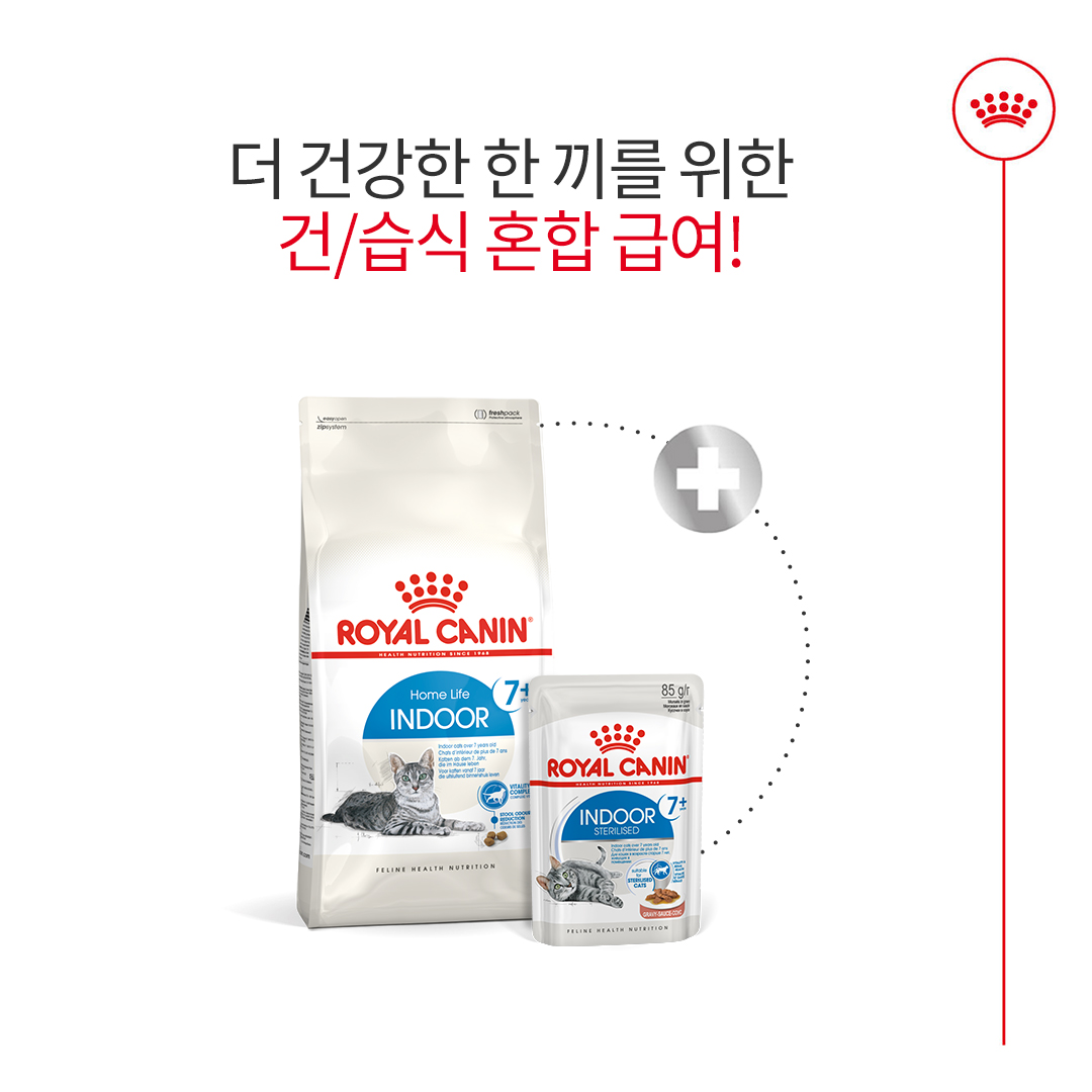 로얄캐닌 캣 인도어 7세이상, 400g, 1개 - 상세 이미지 5