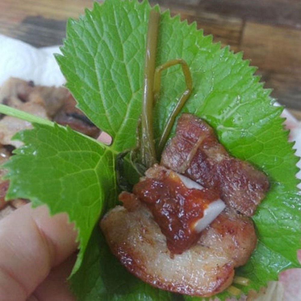 곰취나물 곰취 봄나물 평창 장아찌 강원도 산지직송 당일수확 이미지 7