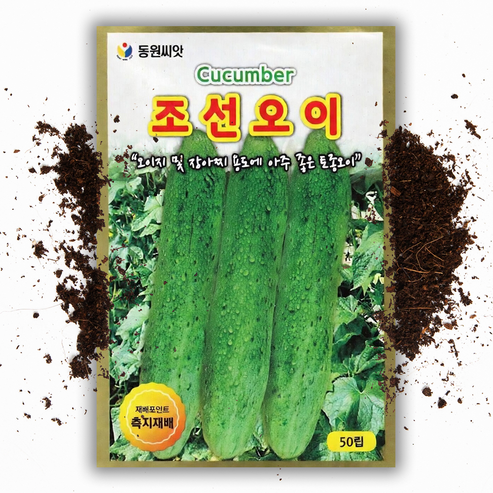 오이씨앗 조선오이 50립 재래종 토종 채소씨앗 노각 장아찌 종자 - 상품 이미지