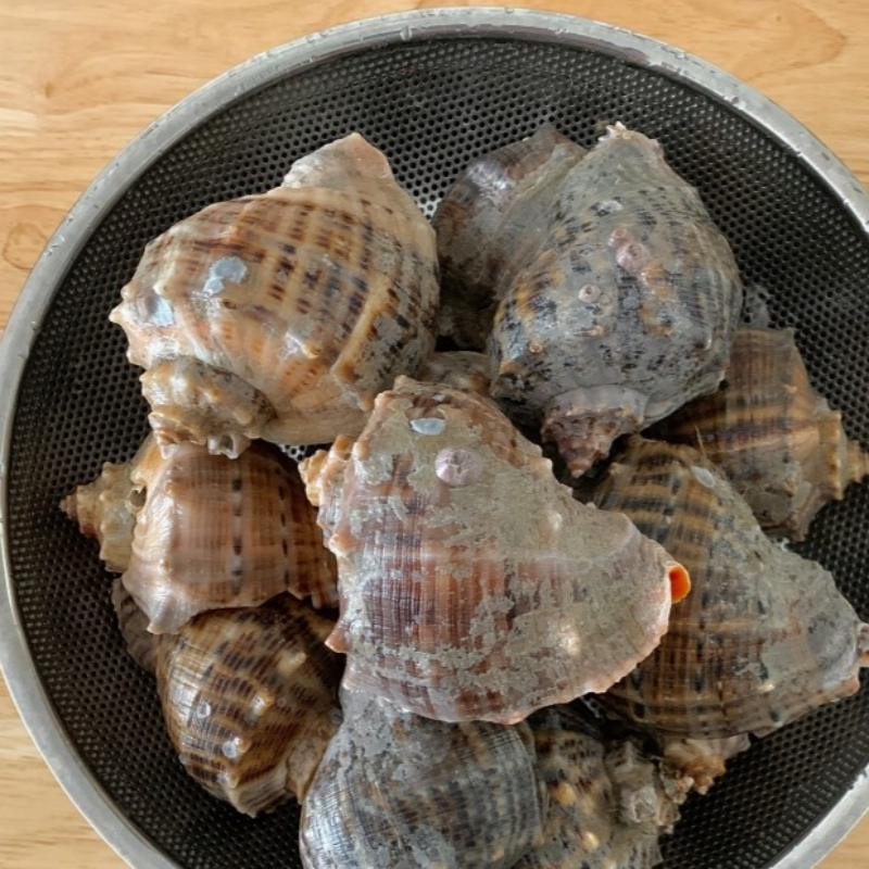 자연가득 전남 고흥 주먹 참소라 1kg 4-6미 - 상품 이미지