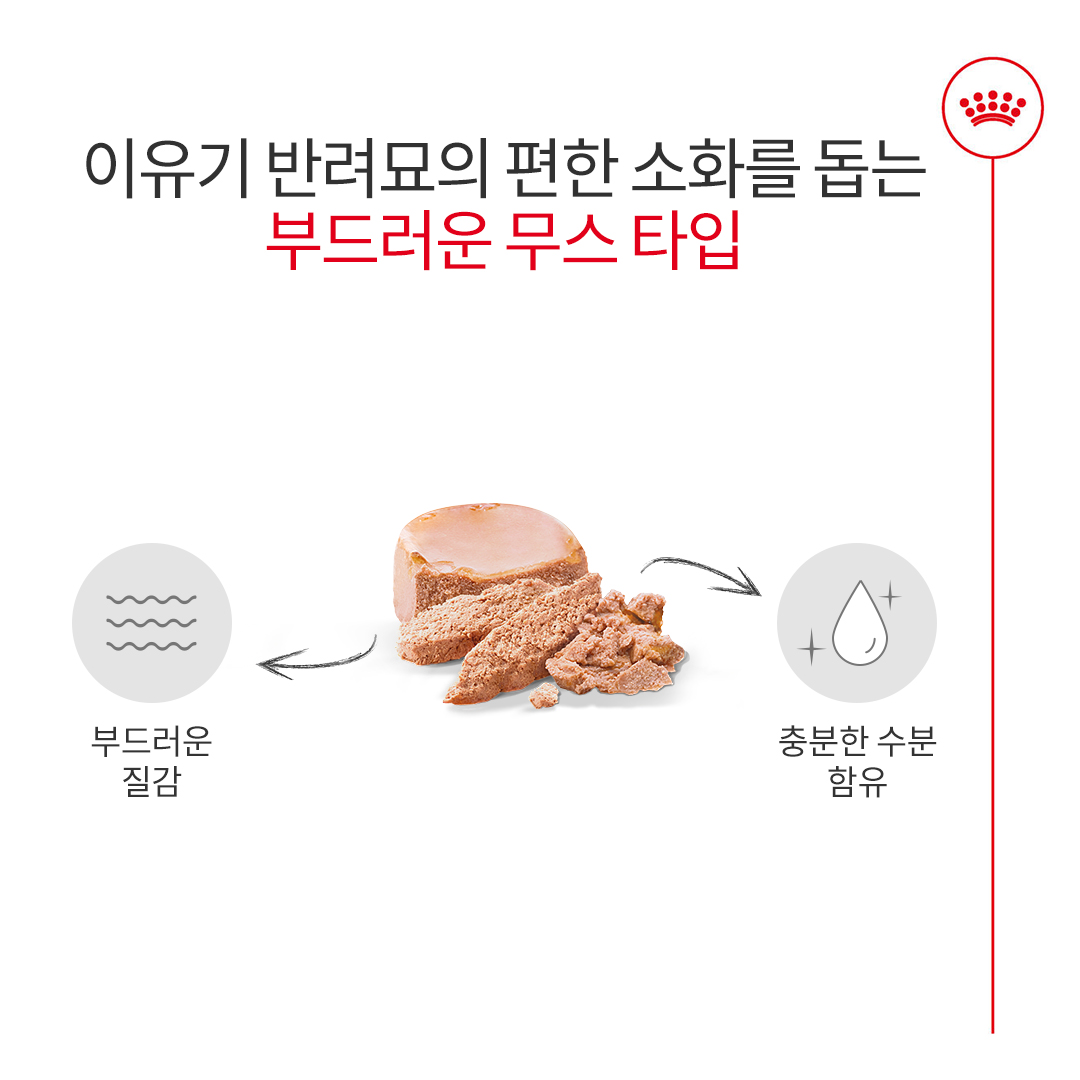 로얄캐닌 마더 앤 베이비 캣 울트라 소프트 무스 트레이 1박스(100G X 24개입) - 상세 이미지 3