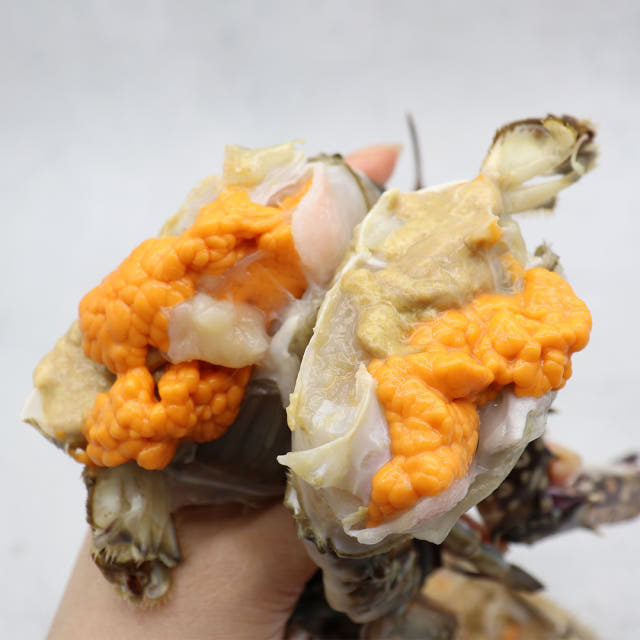 국내산 봄 알배기 암꽃게 1kg 생물급냉 알꽉찬 서해 몽당꽃게 — 이 꽃게로 어떤 요리를 즐길 수 있을까요?