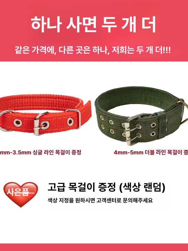 스테인리스 강아지 훈련 초크 체인 애견 반려견 목줄 2.5mm(5-10kg) 5m - 상세 이미지 5