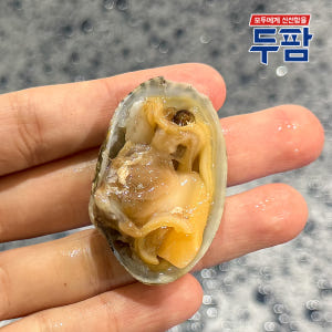 고흥 자연산 활 왕바지락 1kg 해감 바지락 맛있게 먹은 솔직 후기 - 상품 이미지 1