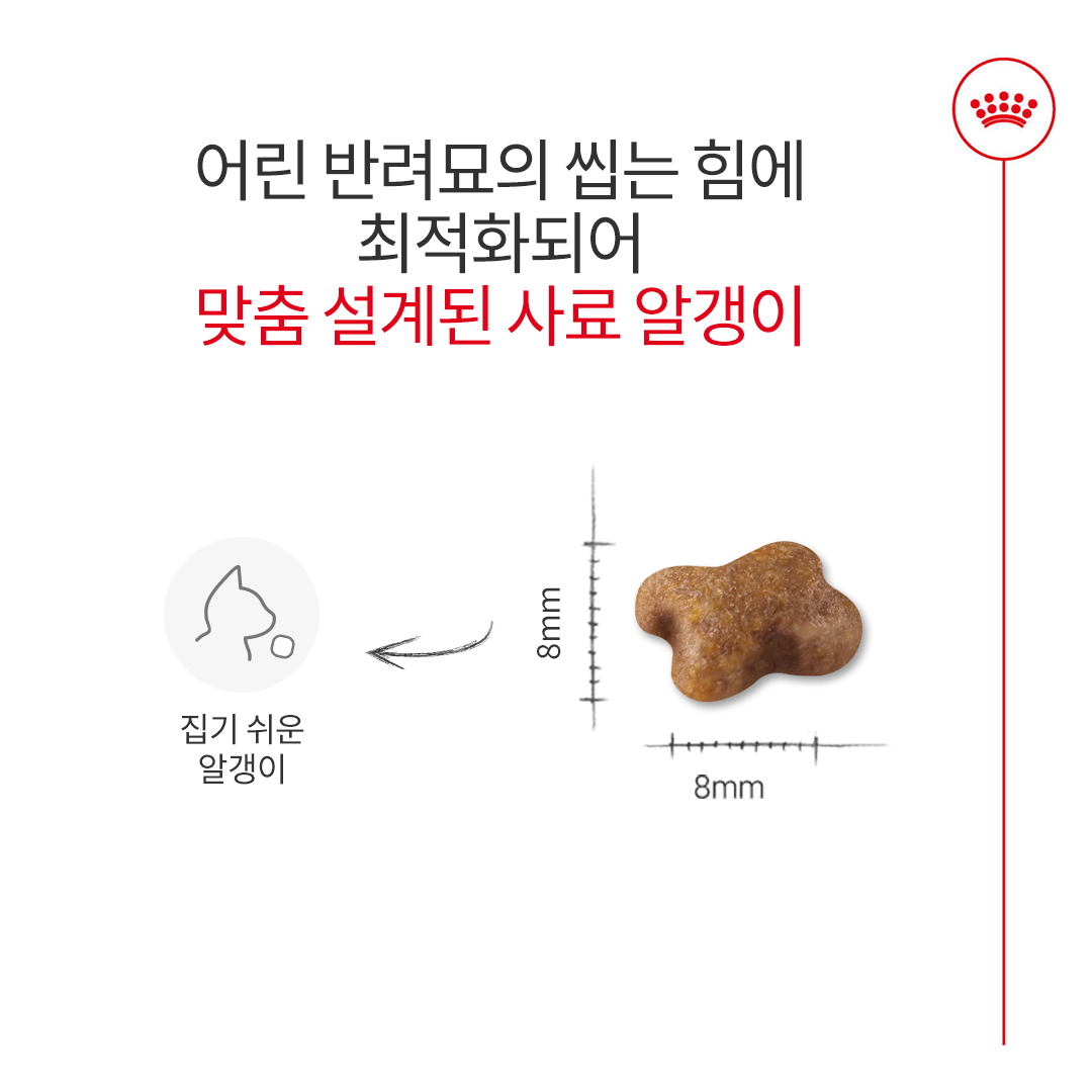 캣 키튼 사료 로얄캐닌 키튼 사료 추천 로얄캐닌 4kg 고양이 사료 후기