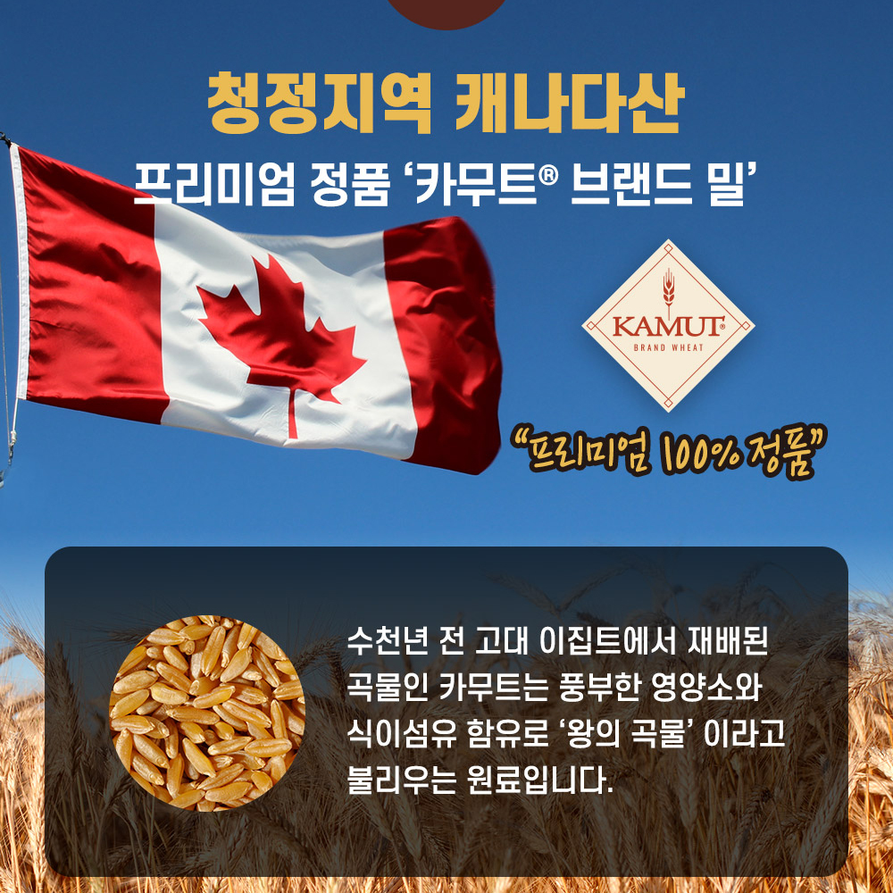 곡물 발효 효소 with 카무트 브랜드 밀 식약처 HACCP 인증 가루 분말 스틱 30포 이미지 6
