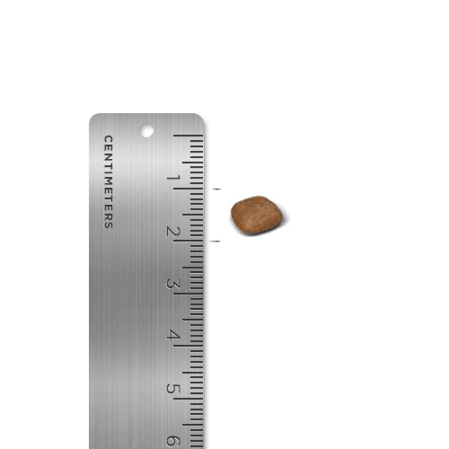 로얄캐닌 유리너리 케어 2KG - 상세 이미지 2