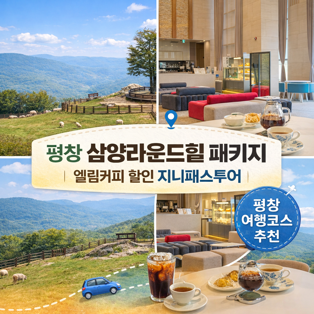 평창 삼양라운드힐 패키지 엘림커피 할인 지니패스투어