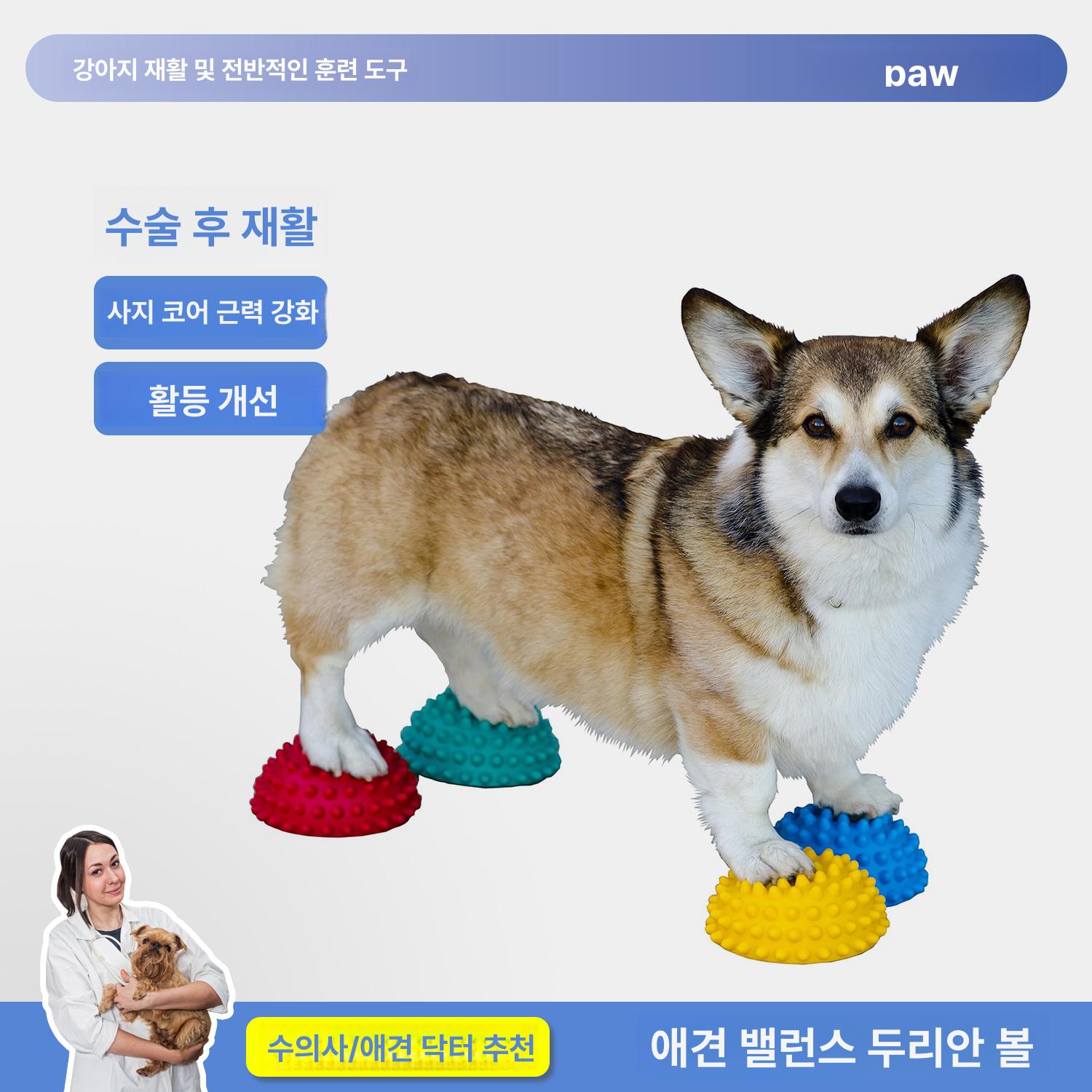 애견피트니스 강아지짐볼 강아지밸런스볼 강아지슬개골 - 상세 이미지 3