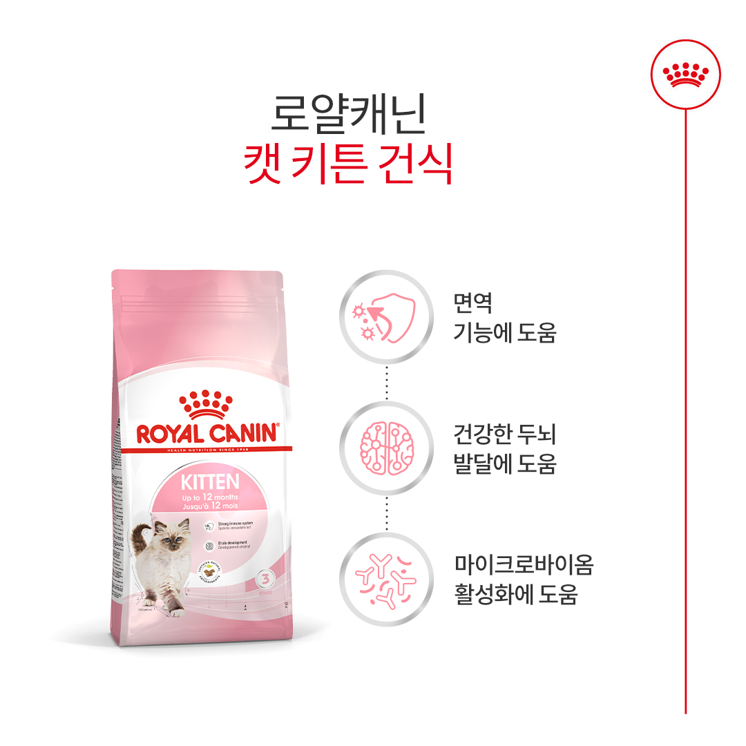 캣 키튼 사료 로얄캐닌 키튼 사료 추천 로얄캐닌 4kg 고양이 사료 후기