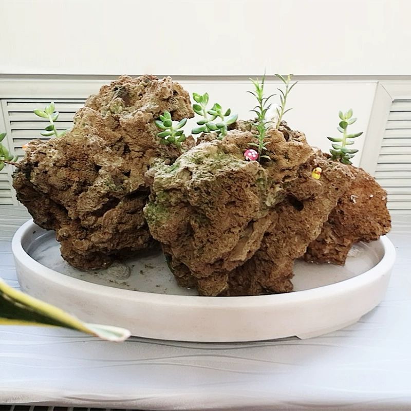 도자기 수반 화분 분재 수목흑 타원형 깊은 다관받침 타원형 깊은 화분 60x32x8 석재 중간 - 상세 이미지 4