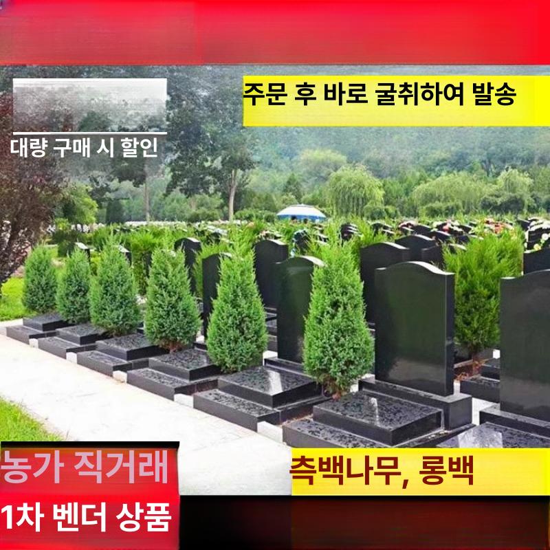 공원 조경 장미 덩굴 식물 지지대 야외 금속 스틸 대형 아치형 테라스 정원 포도 터널 사이드 사이프러스 60cm 이상 - 상품 이미지